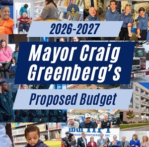 Metro budget